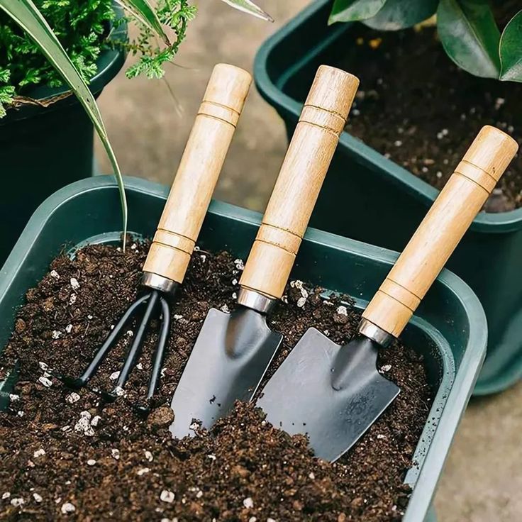 Planting Tools & Garden Accessories